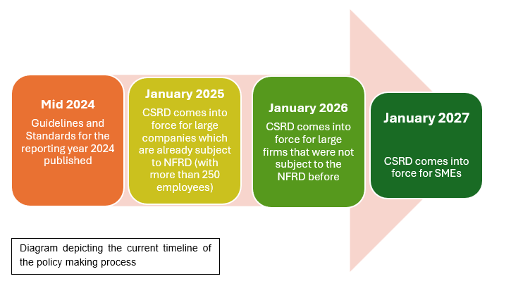 Mamo TCV Advocates - Diagram depicting the current timeline of the policy making process