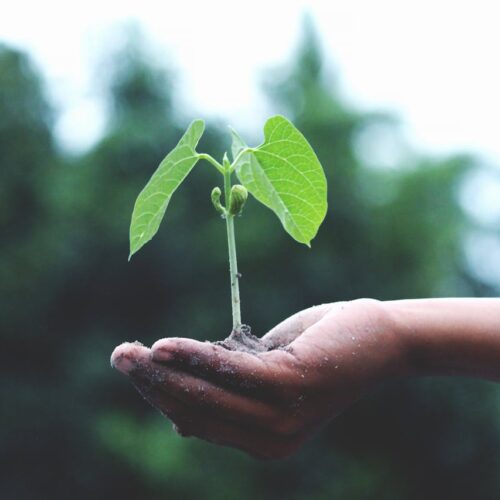 Mamo TCV Advocates - ESG